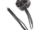 EMX-MT-0028 BLDC Motors