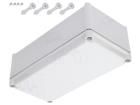 ABS 3819 13 G  Enclosures