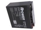 BV 22-12 Sealed Lead Acid Battery