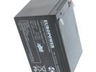 EPL 12-12 Sealed Lead Acid Battery