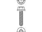 1541013 Screws & Fasteners