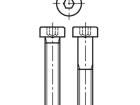 M6X14/BN17 DIN7984 Screws & Fasteners