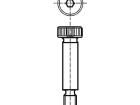 1985078 Screws & Fasteners
