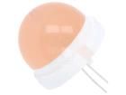 CQL-431-3 Standard LEDs - Through Hole