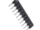 RNLB10G0222B0E Resistor Networks & Arrays