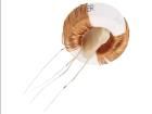 DTS-25/15/0,7-H  Passive Components