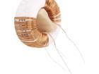 DTS-25/15/0,7-V Fixed Inductors