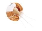 DTS-25/22/0,5-V Fixed Inductors