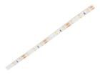HH-S60F008-2835-12 NW WHITE PCB IP65  Optoelectronics