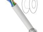 2170173 Ethernet Cables / Networking Cables