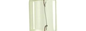 3175 Lamps