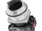 NEF30-TPAS2X Pushbutton Switches