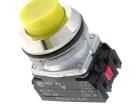 NEF30-WGXY Pushbutton Switches