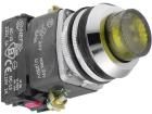 NEF30-WLGXY-230VAC  Electromechanical