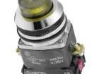 NEF30-WLGXY-230VAC Pushbutton Switches