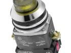 NEF30-WLGXY-24VDC Pushbutton Switches