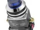 NEF30-WLNXY-24VDC Pushbutton Switches