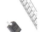PESD12VL1BA.115 ESD Suppressors / TVS Diodes