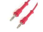 2119-200-RT Test Leads