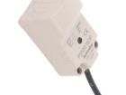 PSN30-15DP Proximity Sensors