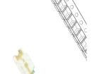 RF-GNS150TS-CF Standard LEDs - SMD