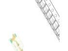 RF-GSS150TS-BC Standard LEDs - SMD