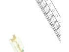 RF-RUS150TS-BD Standard LEDs - SMD