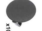 10141 Screws & Fasteners