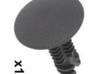 10147 Screws & Fasteners