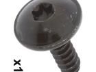 C10022 Screws & Fasteners