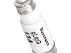 13NZ01 Specialty Fuses