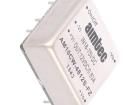AM10CW-4812S-FZ Isolated DC/DC Converters