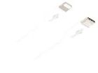 39444  Wire & Cable