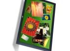 98-0003-3695-2 Display Modules