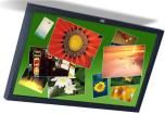 C3266PW  Optoelectronics