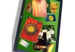 C3266PW LCD Graphic Display Modules & Accessories