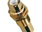 50-10825 Other Tools