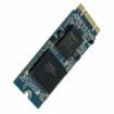APM2T42P100128GAN-7TM Solid State Drives - SSD