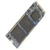 APM2T60P200256GAN-8TM Solid State Drives - SSD