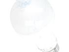 4058075815698 LED Backlighting