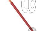 61.7555-22 Test Leads
