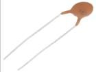 CC-153/100  Passive Components