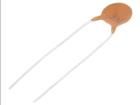 CC-333/100  Passive Components