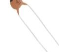 CC-47/100 Ceramic Disc Capacitors