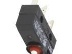 DC1C-L1AA Basic / Snap Action Switches