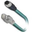 1403653 Ethernet Cables / Networking Cables