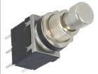 PS24202P  Electromechanical