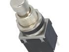 PS24202P Pushbutton Switches