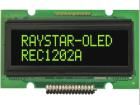 REC001202AGPP5N00000 electronic component of Raystar