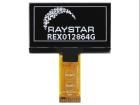 REX012864GWPP3N00000 electronic component of Raystar
